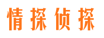 台江市婚姻调查